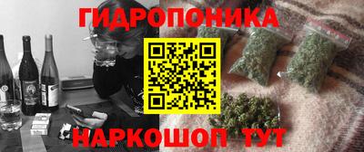 spice Обнинск