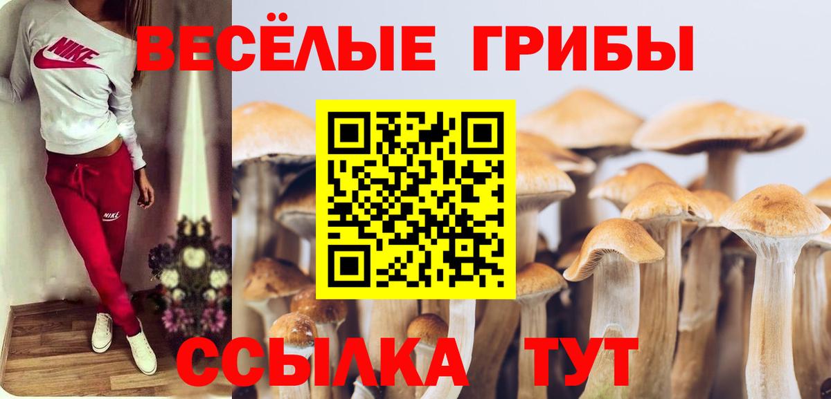 Галлюциногенные грибы Psilocybine cubensis  Вход с VPN  Саянск 